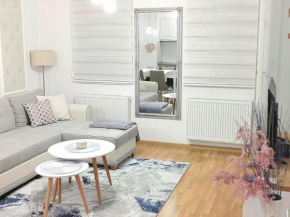 Silver Apartment